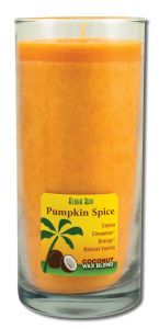 Aloha Bay Palm Wax CANDLEs - Coconut Wax Essential Oil Aloha Jar Pumpkin Spice Orange 8 oz