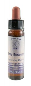Crystal Herbs - Integrating Spirit Male EssenCe 10 ml
