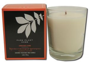 Pure Plant Home - Coconut Wax in Glass Boxed Mandarin Orange\/Lemongrass 6 oz