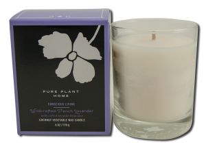 Pure Plant Home - Coconut Wax in Glass Boxed Wildcrafted French Lavender 6 oz