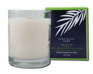Pure Plant Home - Coconut Wax in Glass Boxed Italian Bergamot\/Persian Lime 6 oz