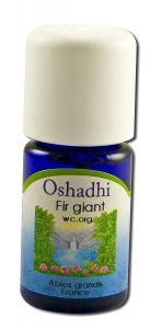 Oshadhi - Essential Oil Singles Fir Giant 5 mL