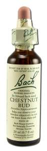 Bach FLOWER Remedies - Original FLOWER Essences Chestnut Bud