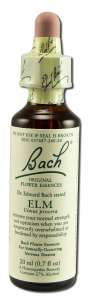 Bach FLOWER Remedies - Original FLOWER Essences Elm