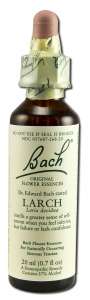 Bach FLOWER Remedies - Original FLOWER Essences Larch