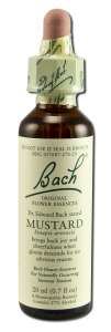 Bach FLOWER Remedies - Original FLOWER Essences Mustard