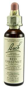 Bach FLOWER Remedies - Original FLOWER Essences Red Chestnut