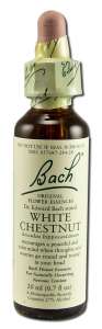 Bach FLOWER Remedies - Original FLOWER Essences White Chestnut