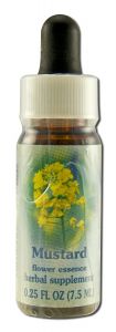 FLOWER Essence Services (fes) - Healing Herbs English FLOWER Essences Mustard