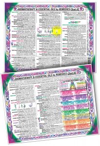 Inner Light Resources - Aromatherapy Laminated Charts Aroma\/Ess Oil by Remedies #2 eaches