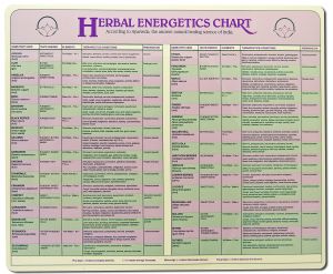 BOOKs - Ayurvedic Herbal Energetics Laminated Chart 9 in x 12 in